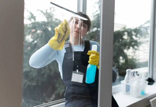 Nettoyage de vitres intérieures et extérieures à Villeneuve-de-Rivière